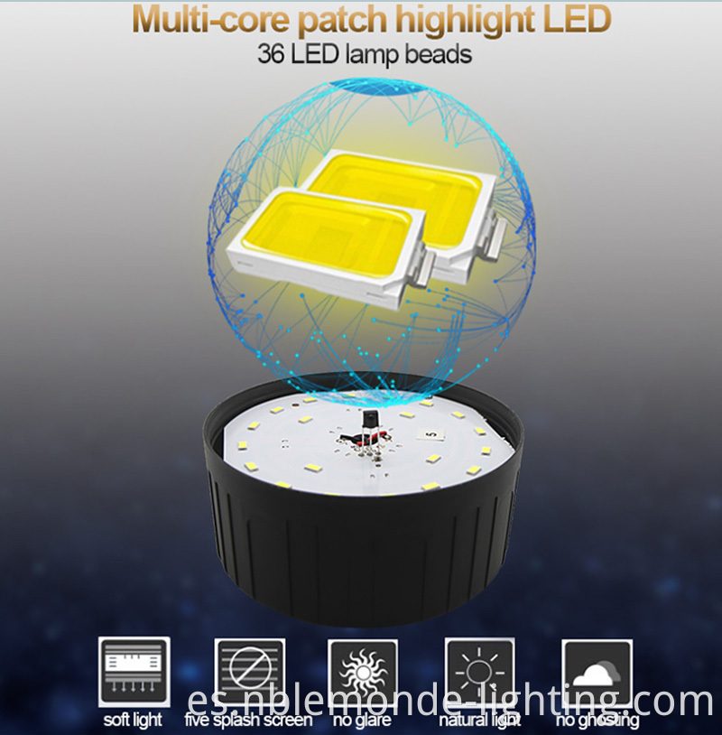 LED Portable Light